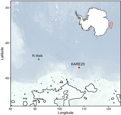 A Promising Approach to Quantifying Pteropod Eggs Using Image Analysis and Machine Learning